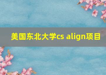 美国东北大学cs align项目